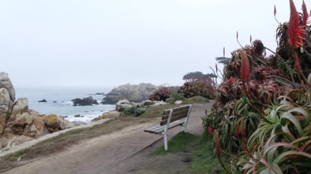 ロッキー険しい海のビーチ 海岸による海の波 霧のような霧の天気 モントレー17マイルのドライブ水 カリフォルニア州海岸 太平洋岸のウォーターフロントの遊歩道グローブ 水辺公園の風景 — ストック動画