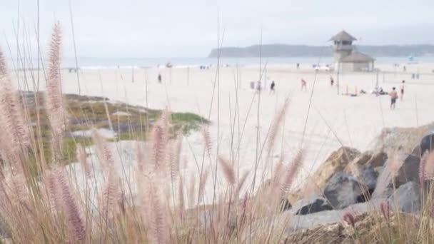 Люди Играют Футбол Песчаном Океанском Пляже Побережье Калифорнии Сша Спасательная — стоковое видео