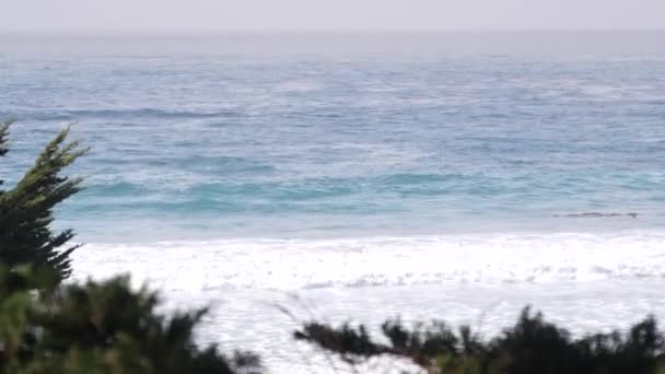 Океанский Песчаный Пляж Кармеле Природа Монтери Побережье Калифорнии Сша Большие — стоковое видео