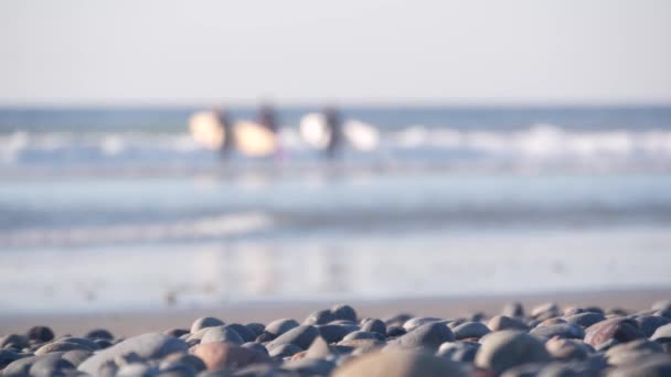 Unrecognizable Surfers Surfboards People Surfing Pebble Rocks Sandy Beach Ocean — Vídeo de Stock