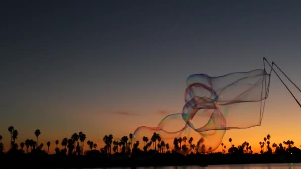 Siluety Palem Pláži Při Západu Slunce Obrovské Mýdlové Bubliny Pobřeží — Stock video