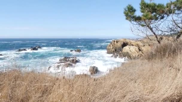 岩場や崖 波の海のビーチで 水のしぶき 海の泡がクラッシュします 17マイルのドライブ ビッグサーの近くの自然 Point Lobos Scape Monterey — ストック動画