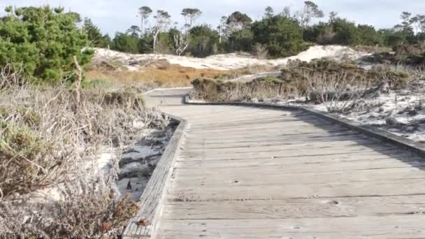 Drewniana Promenada Przybrzeżne Wydmy Monterey Mil Jazdy Naturą Kalifornia Usa — Wideo stockowe