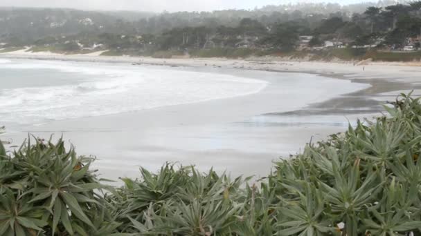 Ocean Sandy Beach Carmel Monterey Bay Nature California Coast Usa — Vídeo de Stock