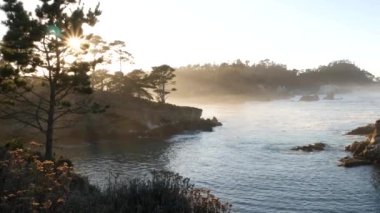 Kaya, kayalık ya da uçurum, koydaki okyanus dalgaları, deniz suyu. Big Sur, 17 mil yol, Point Lobos deniz manzarası, Monterey, California sahili, ABD. Kozalaklı çam ağacı selvi ormanı ya da gün batımında koruluk. Sakin koy.