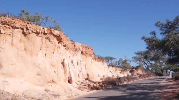 Parque Estatal Torrey Pines Reserva Natural Para Ecoturismo Trekking Senderos — Vídeo de stock