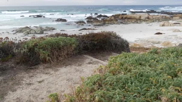 Kayalık Okyanus Kıyıları Kayalara Vuran Deniz Dalgaları Mil Sürüş Monterey — Stok video