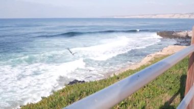 Okyanus dalgaları sahile çarpıyor, yukarıdan deniz suyu yüzeyi, uçurum ya da kayalık, La Jolla kıyısı gezinti güvertesi, California USA. Pasifik kıyılarındaki sulu yeşil buz bitkisi. Deniz manzarası ve korkuluklar.