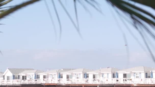 Palmera Muelle Cristal Madera Con Cabañas California Playa Del Océano — Vídeos de Stock