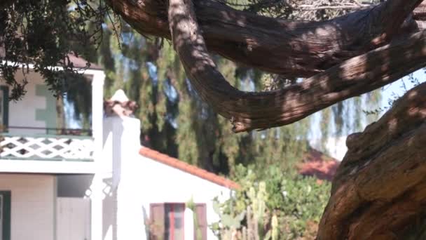 Mur Blanc Vieille Maison Village Mexicaine Fenêtre Bois Avec Volets — Video