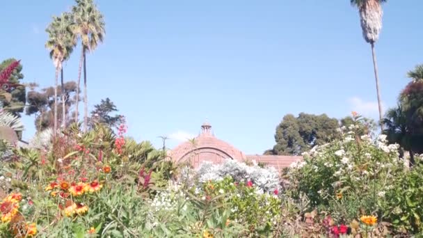 초원에 식물성 들꽃이 스페인 식민지 Balboa Park San Diego California — 비디오