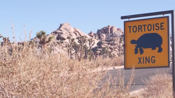 Tartaruga Tartaruga Cruzando Aviso Amarelo Sinal Estrada Califórnia Eua Animais — Vídeo de Stock