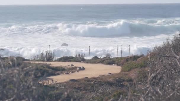 Stora Enorma Stormiga Vågor Kraschar Stenig Craggy Beach Monterey Bay — Stockvideo