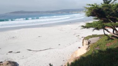 Carmel 'deki boş okyanus kumlu plajı, Monterey doğa, California sahili, ABD. Büyük köpüklü deniz dalgaları kıyıya çarpıyor. Deniz kıyısındaki tatil beldesi. Güneşli sisli hava, çamlı selvi ağacı.