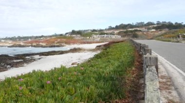 Monterey, Kaliforniya 'da 17 millik manzaralı yol. Okyanus kıyısı boyunca yolculuk. Point Lobos, Big Sur ve Pebble plajı yakınlarındaki Pasifik kıyısı turizm rotası. Çit ve sulu buz bitkisi yeşilliği.
