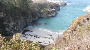 Vahşi benekli fok sürüleri, Pasifik limanı deniz aslanları dinleniyor, okyanus plajı, Point Lobos vahşi yaşamı, China Cove California sahili, ABD. Özgürlükteki genç hayvanlar kolonisi, doğal yaşam alanlarında su altında sürüler.