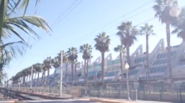 Palmiye ağaçları ve mavi yaz gökyüzü, San Diego şehir sokağı, Kaliforniya ABD. Palmiye ağaçları güneşli bir günde rüzgarda yapraklanır. Kongre Merkezi ve Gaslamp Quarter 'ın avuçlarında sıra sıra. Tropik yemyeşil yapraklar.