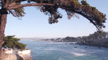 Rocky sarkık okyanus plajı, Monterey 'de deniz dalgaları, 17 mil sürüş, Kaliforniya sahili, ABD. Pacific Grove, sahil kıyısı gezinti alanı, sahil kenarı Aşıklar Parkı. Pebble Sahili yakınlarında selvi ağacı.
