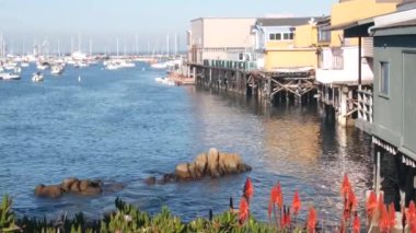 Yığınlar ya da sütunlar üzerindeki renkli ahşap evler, okyanus koy ya da liman, deniz suyu. Old Fishermans Rıhtımı. Kaliforniya, Monterey Marina 'da yatlar, yelkenli tekneleri. Turist sahili gezisi, çiçekler..