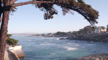 Rocky sarkık okyanus plajı, Monterey 'de deniz dalgaları, 17 mil sürüş, Kaliforniya sahili, ABD. Pacific Grove, sahil kıyısı gezinti alanı, sahil kenarı Aşıklar Parkı. Pebble Sahili yakınlarında selvi ağacı.