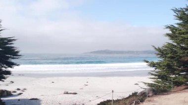 Gezinti yolu, yürüyüş yolu, patika ya da patika, Carmel, Monterey, Kaliforniya sahilindeki okyanus kumlu plaj, ABD. Deniz dalgaları kıyıya çarpıyor. Rıhtım kıyısı çam ağacı. Yol ya da yaya yolu