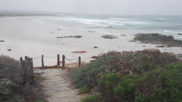 Havsstrand Sanddyner Monterey Natur Kalifornien Dimmiga Kusten Usa Foggy Regnig — Stockvideo
