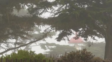 Pinos eski tarihi deniz feneri mercekleri parlıyor, sisli yağmurlu kötü hava. Aydınlatılmış antika ışık evi ya da fener kulesi, sisli selvi çam ağacı ormanı. Monterey, Kaliforniya kıyısı ABD