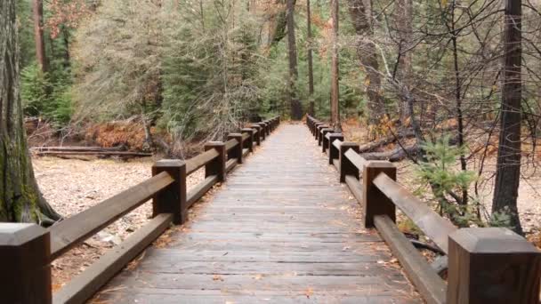 秋天松树林的木桥或人行道景观 约塞米蒂山谷景观 加利福尼亚秋天的自然 在荒野中远足或远足 为生态旅游在木板路上建造人行天桥 — 图库视频影像