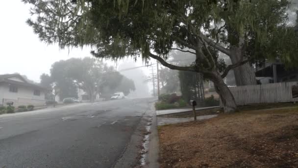 典型的な郊外の住宅地の通り 戸建住宅 霧の霧の道 モントレーカリフォルニアUsa 郊外だ 雨の天気 気分の良い雰囲気 かすみのブルームの静かな街 — ストック動画