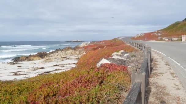 Milowa Droga Widokowa Monterey California Usa Podróż Wzdłuż Oceanu Fale — Wideo stockowe