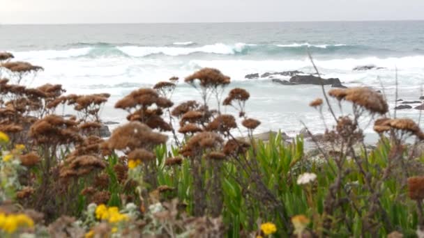 Mils Bilresa Monterey Kalifornien Usa Klippiga Hav Havsvattenvågor Pacific Coast — Stockvideo