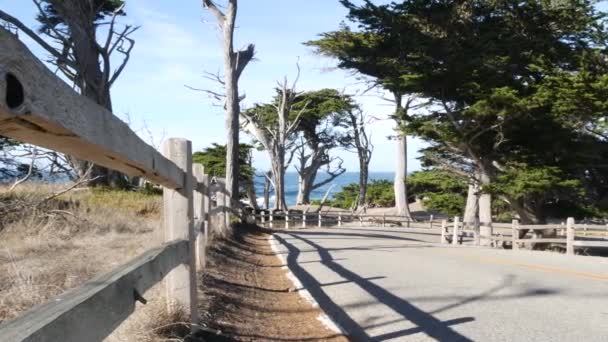 Mils Bilväg Monterey Kalifornien Usa Väg Resa Genom Cypress Träd — Stockvideo