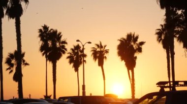 Portakal rengi gökyüzü, Kaliforniya sahillerinde gün batımında plajda palmiye ağaçlarının siluetleri. San Diego 'daki sahil parkında, Pasifik kıyısındaki Mission plaj tatil beldesinde. Tropik Amerikan Yazı.