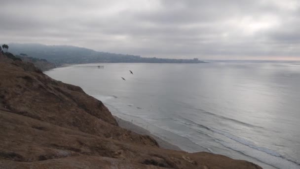 陡峭的悬崖 岩石或悬崖 多雾的天气 加利福尼亚海岸侵蚀 风蚀的砂岩峭壁 派恩斯公园的景色 俯瞰风景 海滩和水面上的波浪 鸟儿在空中飞翔 — 图库视频影像