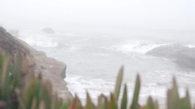 Sisli deniz manzarası, okyanus sahillerine vuran dalgalar, sisli hava. Sakin karamsar atmosfer, gri deniz manzarası kasvetli dramatik California kıyıları, fırtınalı su. Kusursuz döngülü görüntü grafiği.