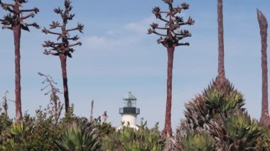 Vintage deniz feneri kulesi, retro deniz feneri, tarihi klasik beyaz fener. Deniz seyrüsefer, sahil binası 1855. Agave sulu bitki çiçeği. Point Loma San Diego, Kaliforniya ABD
