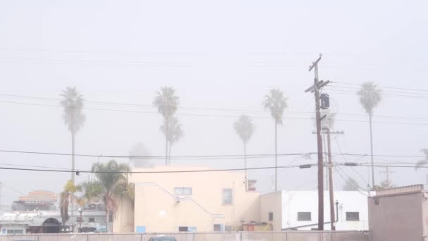 Linhas Energia Fios Postes Nevoeiro Rua Cidade Califórnia Eua Cabos — Vídeo de Stock