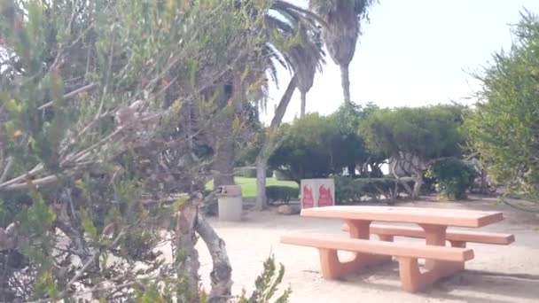 Área Piquenique Parque Público Jolla Cove Costa Califórnia Eua Local — Vídeo de Stock