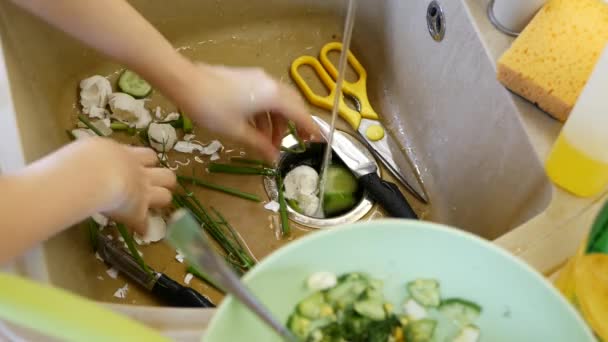 Ekologiskt Skräp Diskbänk Med Inbyggd Matavfallskvarn Grönsaks Eller Fruktskal Rester — Stockvideo