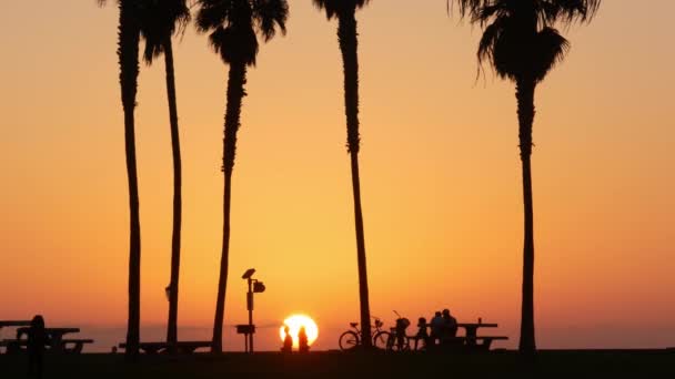 橙色的天空 美国加利福尼亚海岸 日落时分 海滩上棕榈树的轮廓 圣地亚哥日落时 自行车或自行车在海滨公园 任务海滩度假胜地在岸上 走路的人 — 图库视频影像