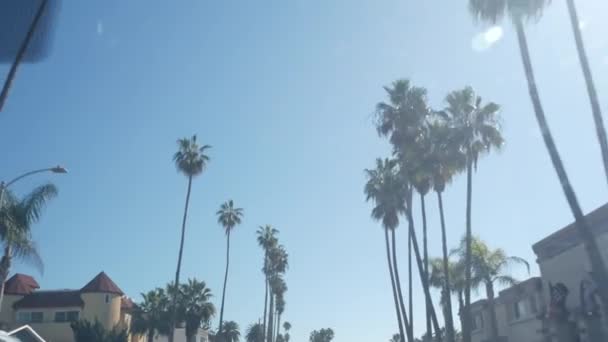 Los Angeles Santa Monica Yakınlarındaki Rıhtıma Bakan Caddede Palmiye Ağaçları — Stok video