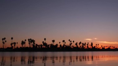 Günbatımı okyanus sahillerinde birçok palmiye ağacı silueti, Kaliforniya sahilleri, ABD. San Diego kıyısındaki Mission Bay Park 'ın sakin sularında mor turuncu gökyüzünün yansıması. Kusursuz döngülü görüntü grafiği.