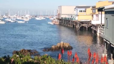 Yığınlar ya da sütunlar üzerindeki renkli ahşap evler, okyanus koy ya da liman, deniz suyu. Old Fishermans Rıhtımı. Kaliforniya, Monterey Marina 'da yatlar, yelkenli tekneleri. Turist sahili gezisi, çiçekler..