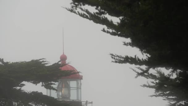 ポイントピノス古い歴史的な灯台フレネルレンズ輝く 霧の多い雨の悪天候 照らさレトロなヴィンテージライトハウスやビーコンタワー 霧のヒノキの木の森松 カリフォルニア州モントレー海岸 Usa — ストック動画