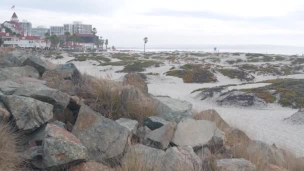 雾蒙蒙的科罗纳多海滩的沙丘 雾蒙蒙的海浪 加利福尼亚海岸 圣地亚哥多云的阴天 多汁的植物在平静宁静的海滨上 在布鲁姆 在青草在薄雾中 在宁静的审美 — 图库视频影像