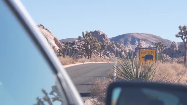 Tortoise Turtle Crossing Warning Yellow Road Sign California Usa Wild — Stock Video