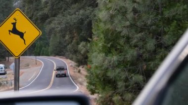 Geyik uyarı sarı işareti, California USA. Vahşi hayvanlar trafik işaretlerini aşarak yolda güvenli sürüş yapıyorlar. Yosemite Ulusal Park Ormanı 'ndaki arabalardan vahşi yaşam koruma alanı. Yolculuk konsepti