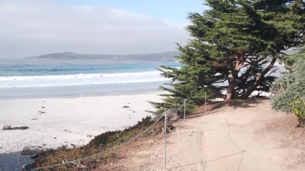 Ścieżka Promenady Chodnik Szlak Lub Ścieżka Ocean Piaszczysta Plaża Carmel — Wideo stockowe
