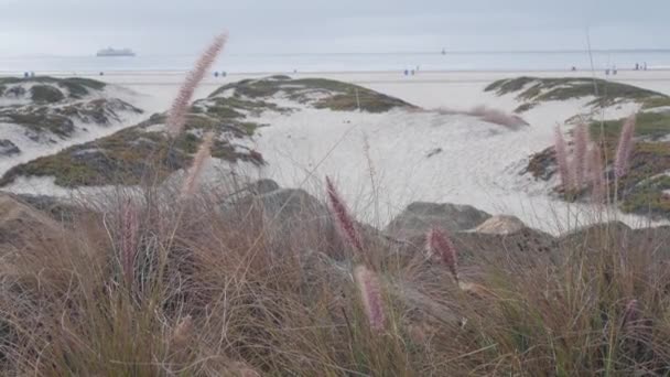 Piaszczyste Wydmy Mglistej Plaży Coronado Fale Morskie Mgle Wybrzeże Kalifornii — Wideo stockowe