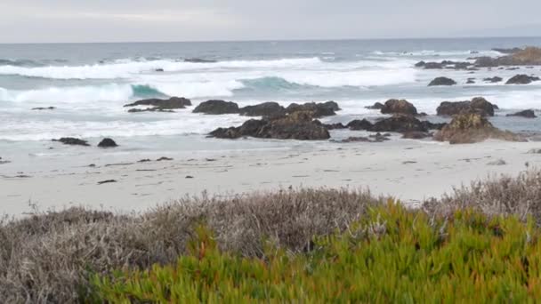 Scenic Mile Drive Monterey Californië Verenigde Staten Rotsachtige Grillige Oceaan — Stockvideo